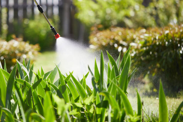 Tamper-Resistant Bait Stations for Rodents in East Rutherford