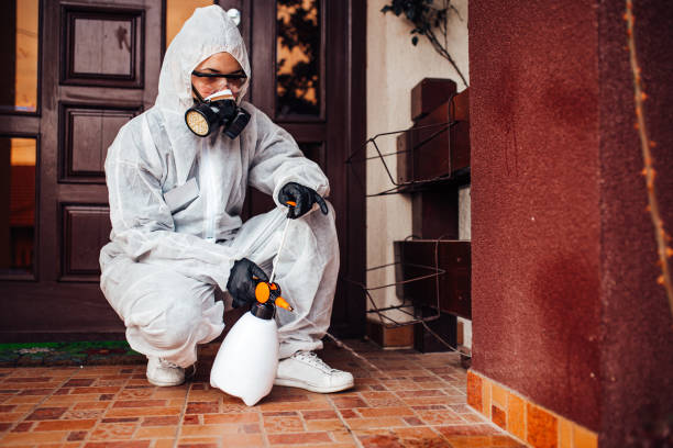 Attic and Crawl Space Rodent Treatment in East Rutherford
