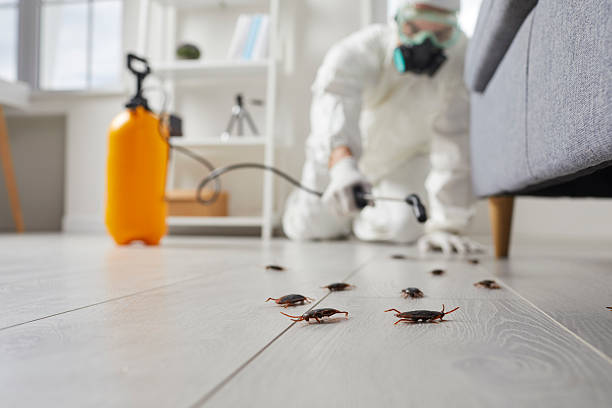 Commercial Rodent Management in East Rutherford